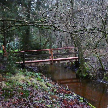 Ferienwohnung Niemann In Lutterloh Unterluss エクステリア 写真