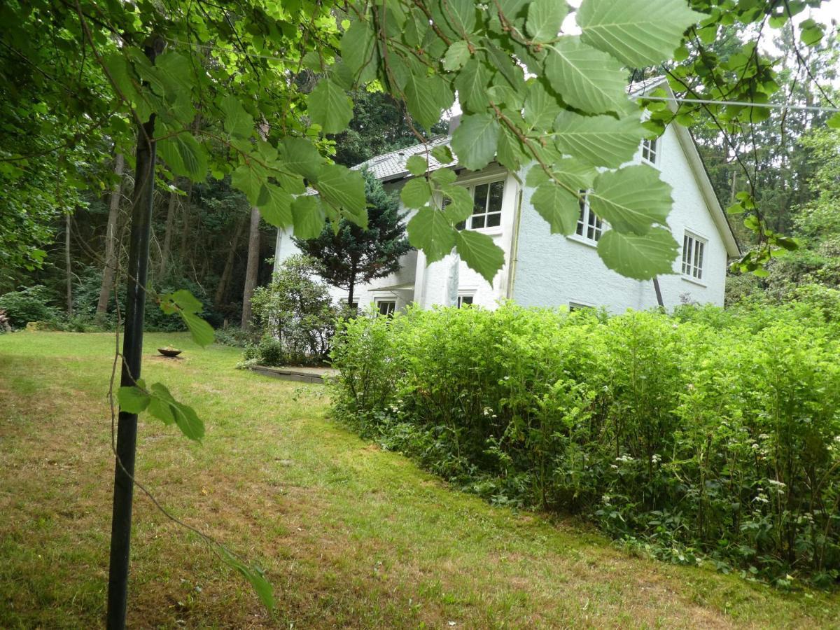 Ferienwohnung Niemann In Lutterloh Unterluss エクステリア 写真